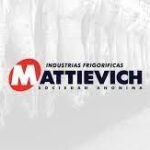 mattievich